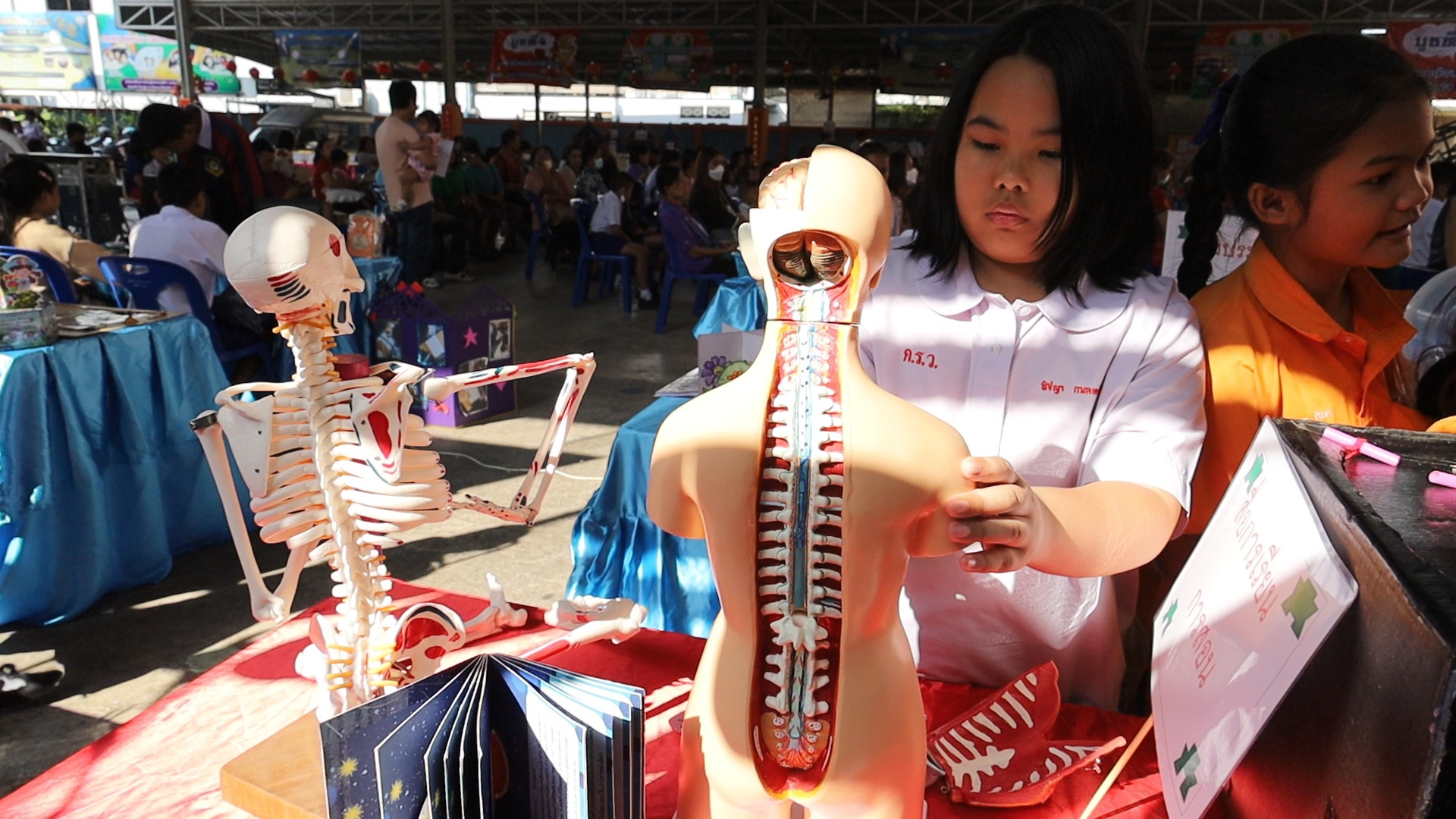 รูปภาพหน้าปก 8b6a37f5-4281-44e6-8a56-f91de84f8a38