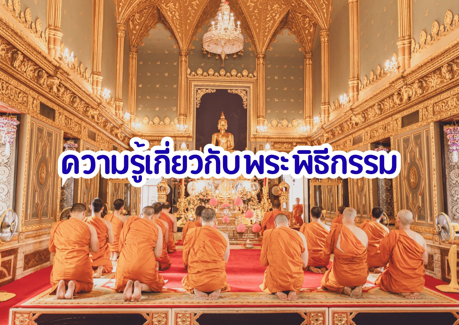 รูปภาพหน้าปก 73f98438-d5e1-40bb-892d-11b8a6748c4b