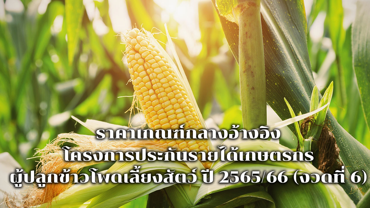 รูปภาพหน้าปก 7b0d70d8-342b-400b-ae97-081e35165098