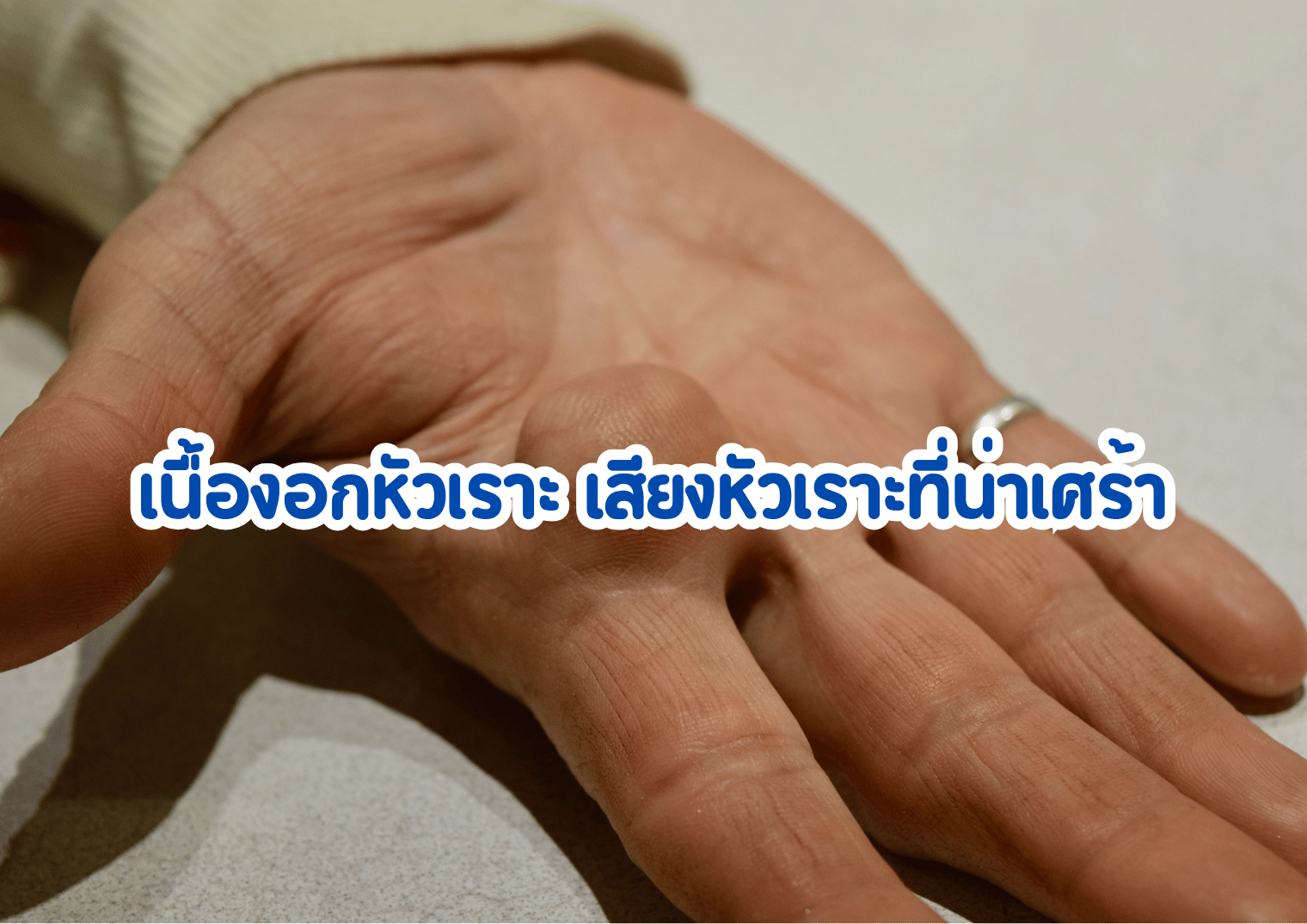รูปภาพหน้าปก b25c4111-a499-40d1-84f4-6fc6634b8727