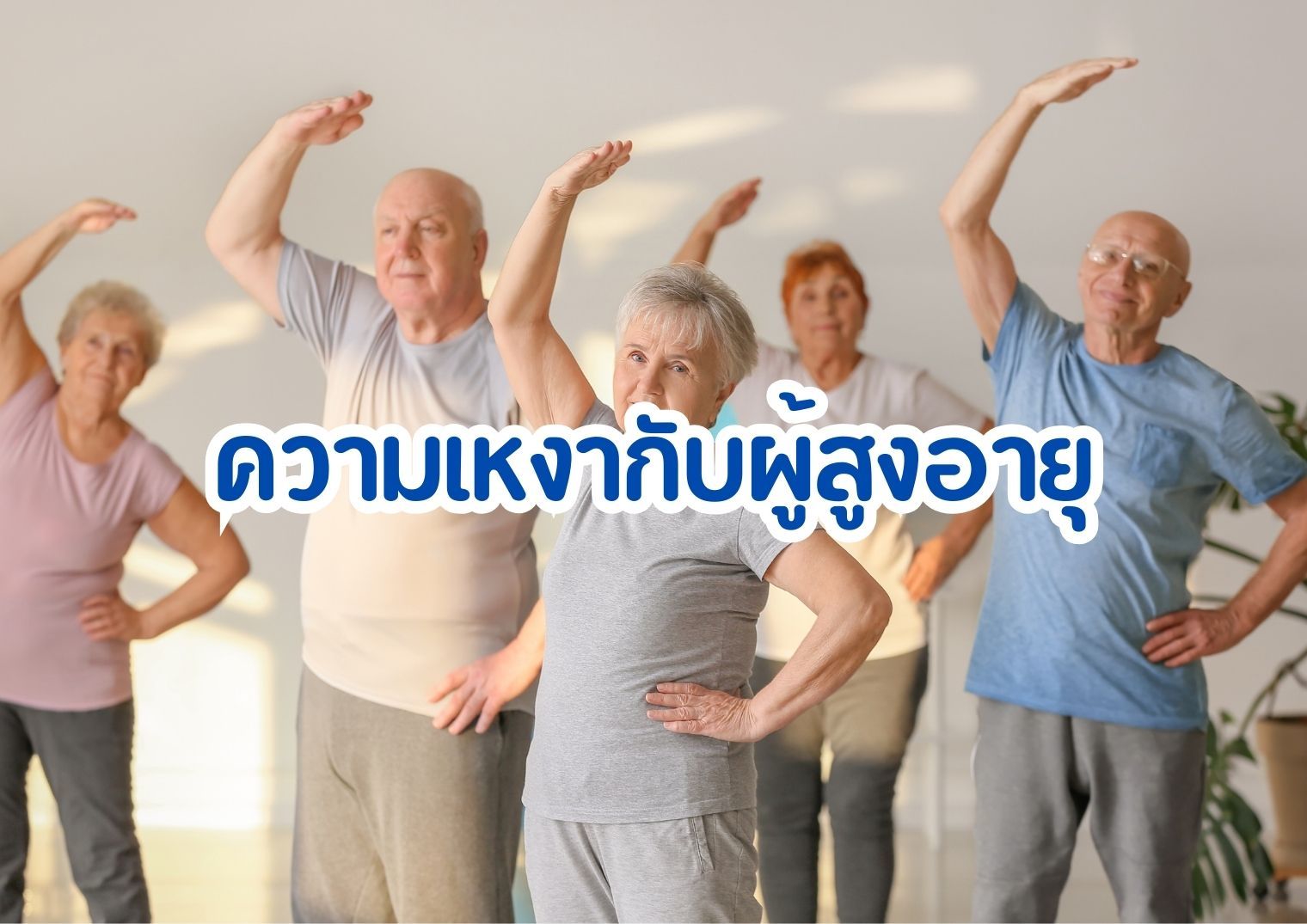 รูปภาพหน้าปก 391de362-5493-4bd4-b725-a6d4c647c754