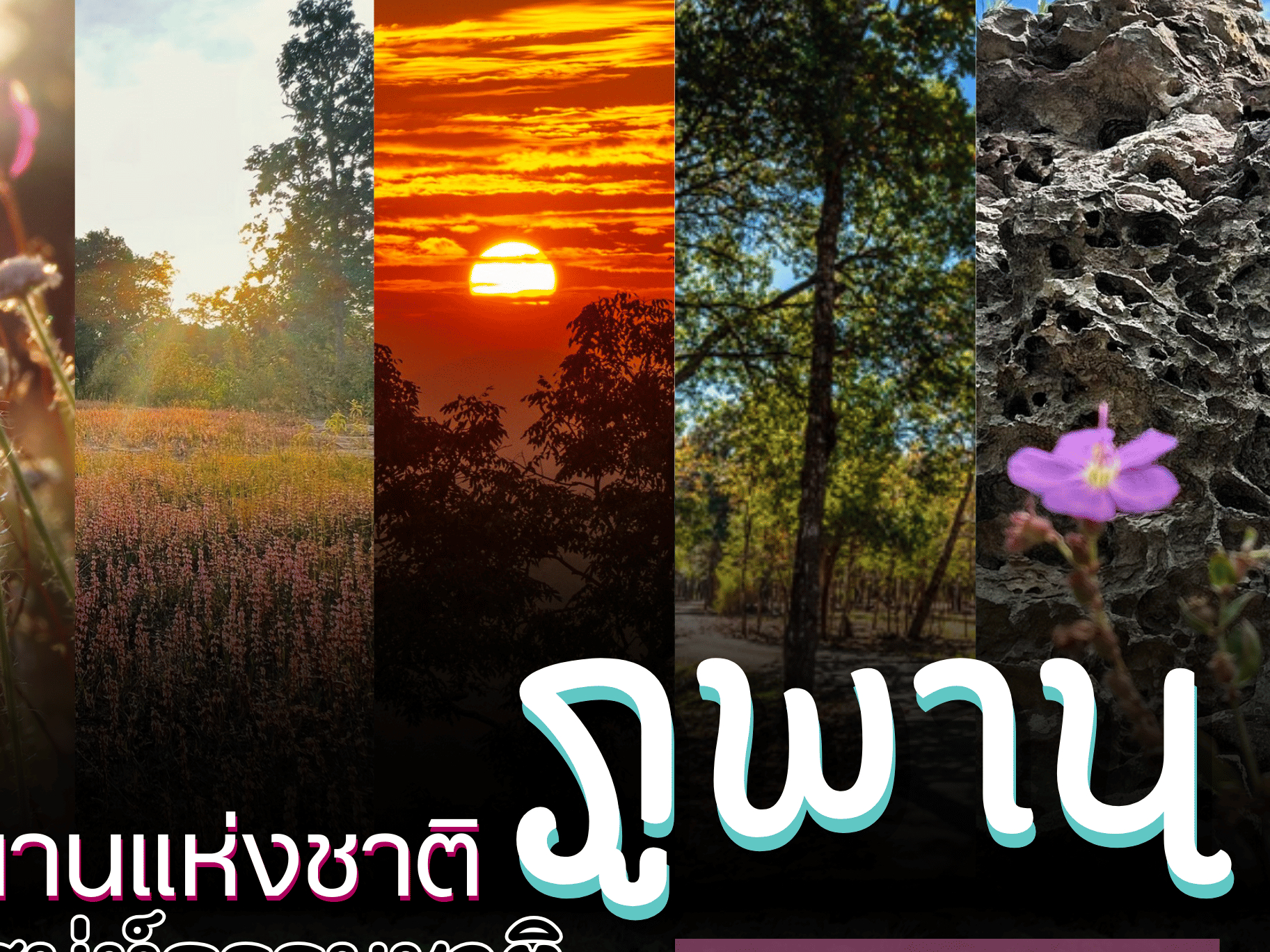 รูปภาพหน้าปก abd1e882-1c70-4c52-9a50-e50595607fe7