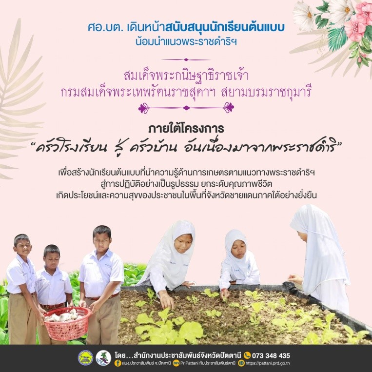 รูปภาพหน้าปก 8cd068d6-bc01-4198-b21e-f515f4e7ca0d