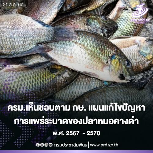 รูปภาพหน้าปก 344be41e-1e01-46bb-a40f-b055edd75ade