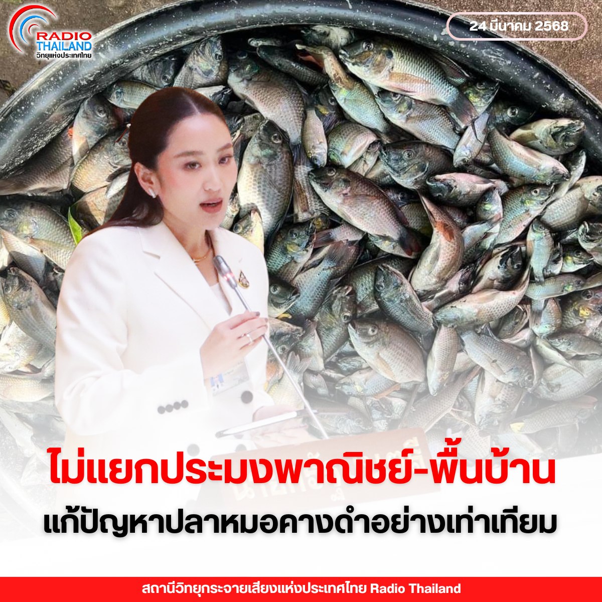 รูปภาพหน้าปก cb3287fc-8044-4722-95e0-db002227f7ab
