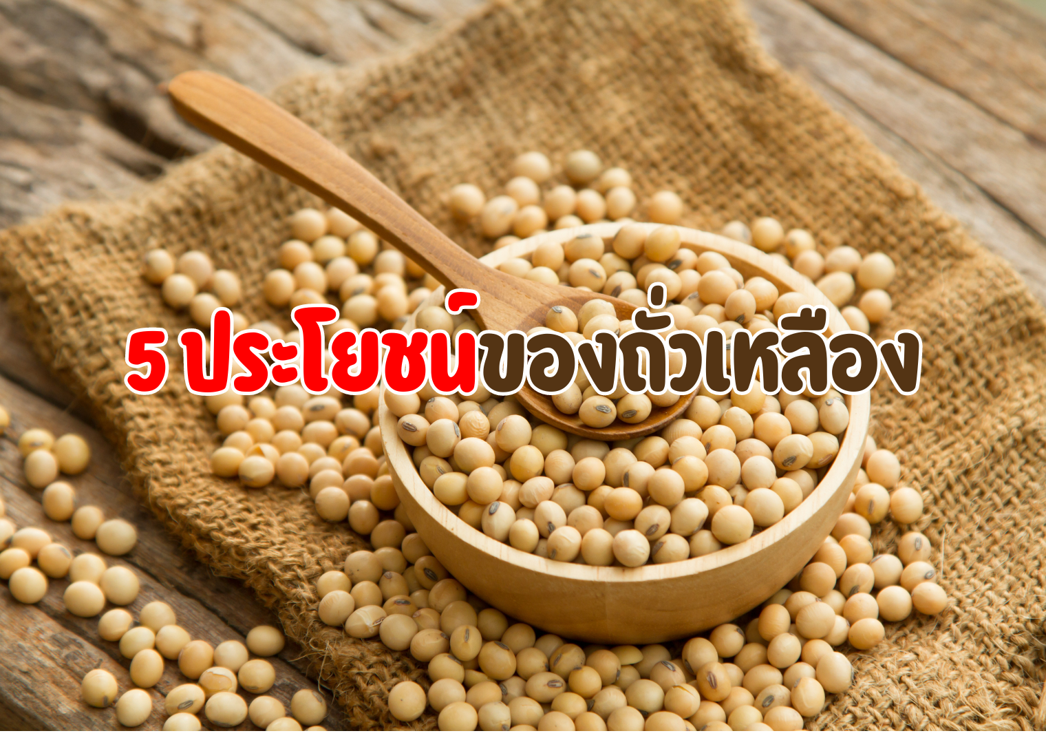 รูปภาพหน้าปก 7eb22bec-da0b-4372-aa30-b7342ec6336c