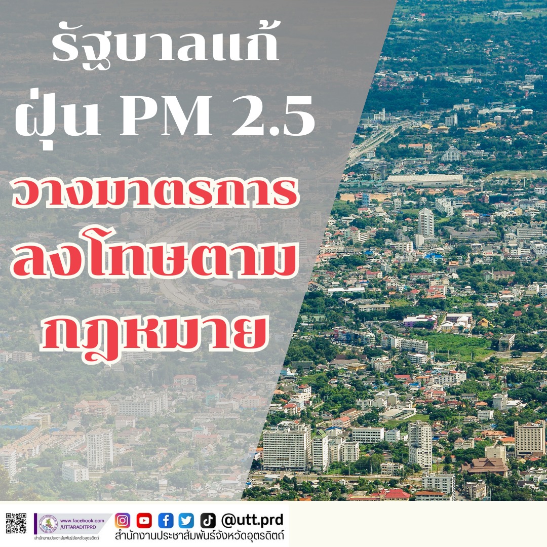 รูปภาพหน้าปก cbfa7d9d-e5b5-4a01-ab91-46bc02569615