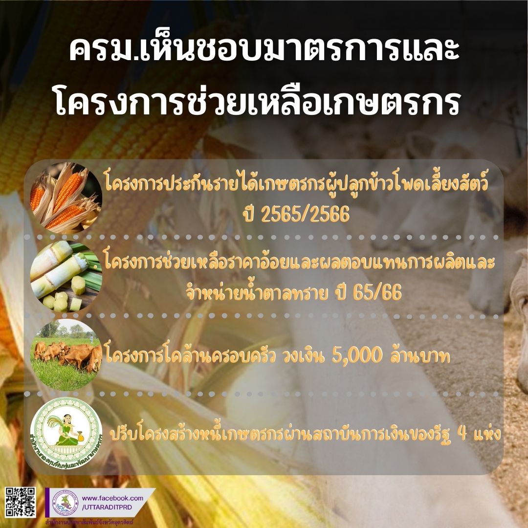 รูปภาพหน้าปก 8bb4ed29-e103-4c1f-a9d6-511efe0bb302