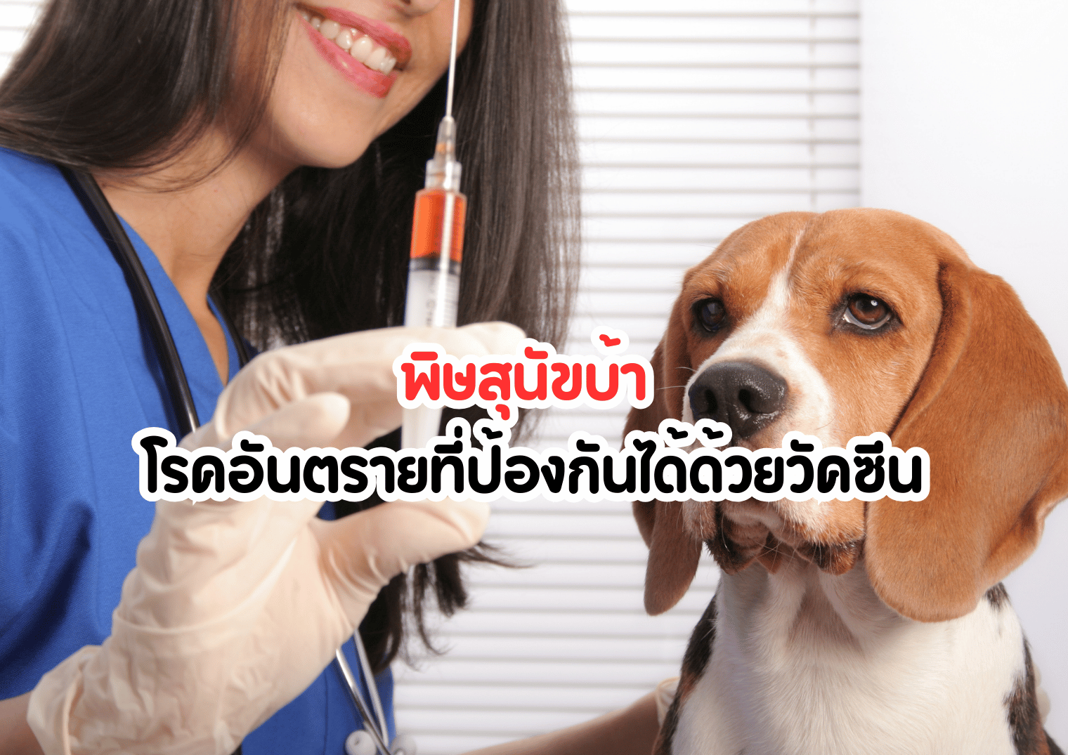 รูปภาพหน้าปก f461d1cb-2012-49f8-991f-efe2a3bc4069