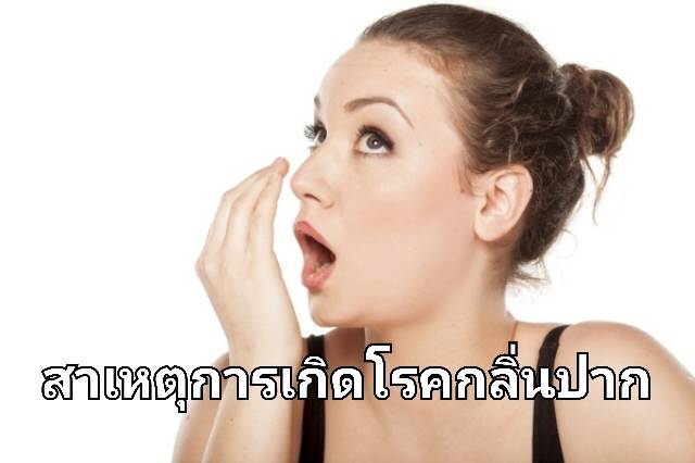 รูปภาพหน้าปก 1c29851c-3ffc-4cac-a6c4-0c99909a2a07