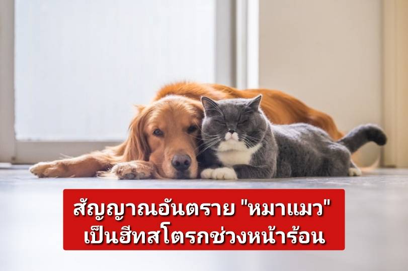 รูปภาพหน้าปก 54dab690-f61d-4227-a0e0-8bb3296e354c