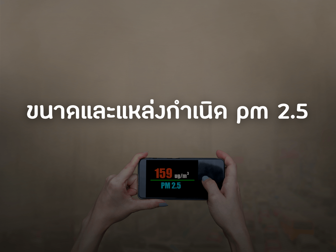 รูปภาพหน้าปก fa54a508-7ef2-4ac8-a64b-37f95a449e0e