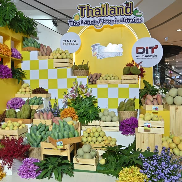 รูปภาพหน้าปก 1210b960-6428-41fb-bbb2-86d42aee60f2