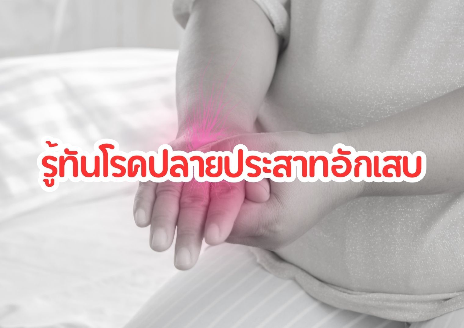 รูปภาพหน้าปก c8d10fbf-e2fc-4dee-a90e-f886b35dede3