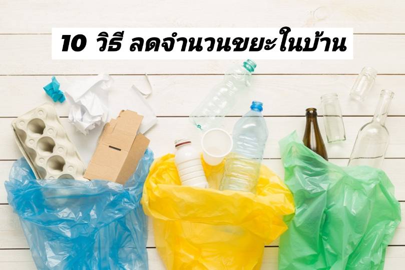 รูปภาพหน้าปก 219cf94b-1f06-4c55-88c4-ae0749610db8