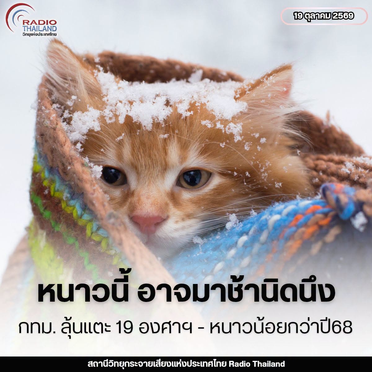 รูปภาพหน้าปก 2e71a7bf-42df-4c42-aa88-35d3559b09f3