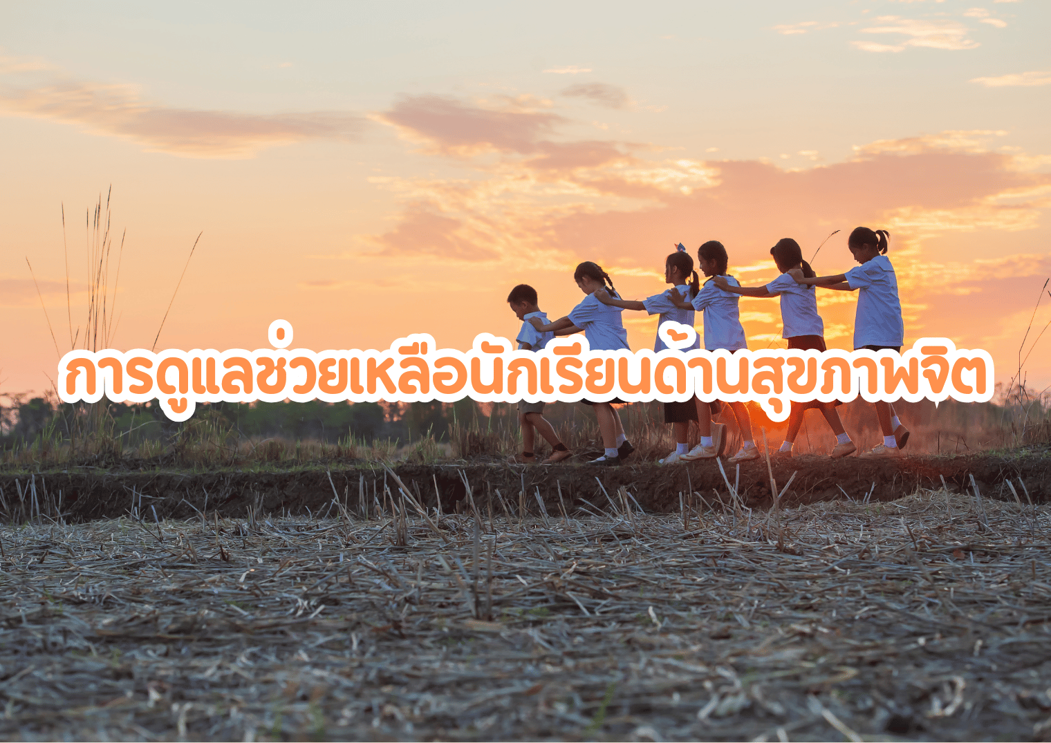 รูปภาพหน้าปก 6499349b-04c6-4ed7-b614-e0314d40d020
