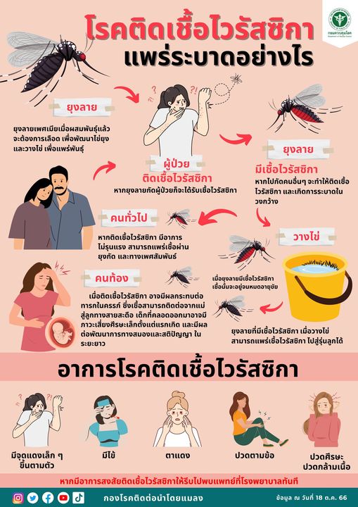 รูปภาพหน้าปก 35cbfb55-8fda-4b69-8346-e14c22cee66d