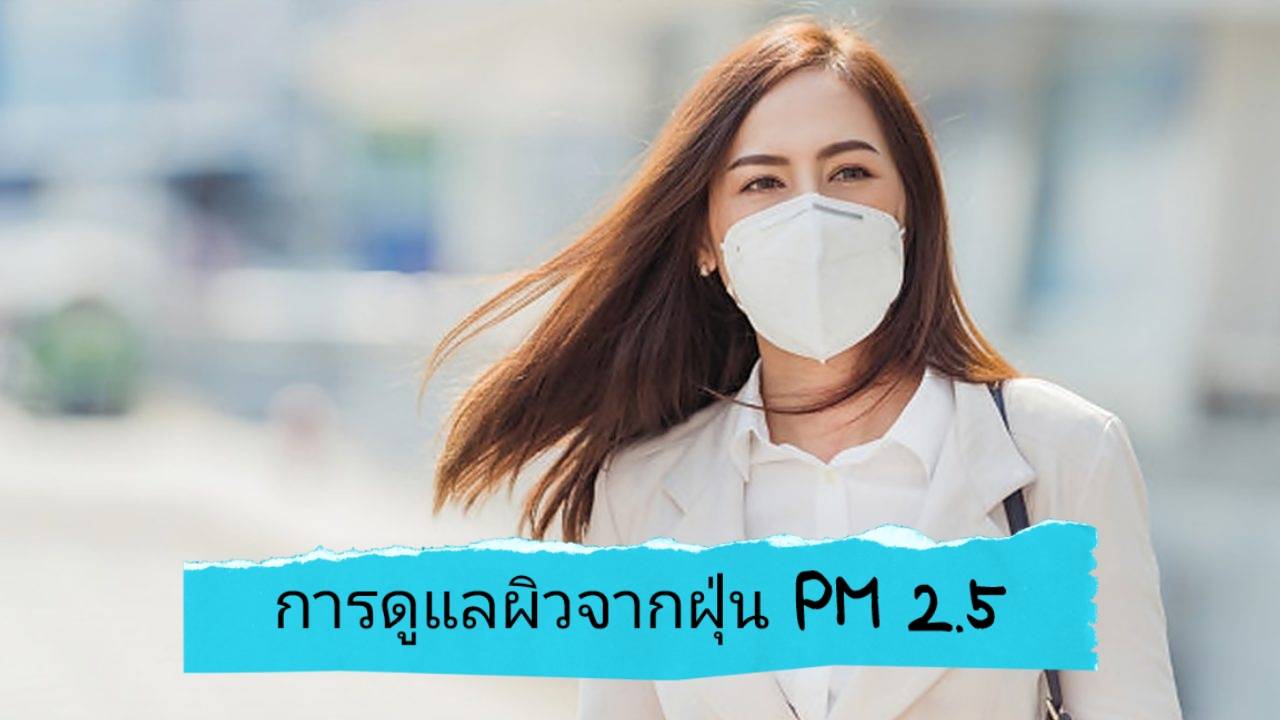 รูปภาพหน้าปก cbf8ffee-cf9a-4a3c-97c2-3ad6a017d3b1