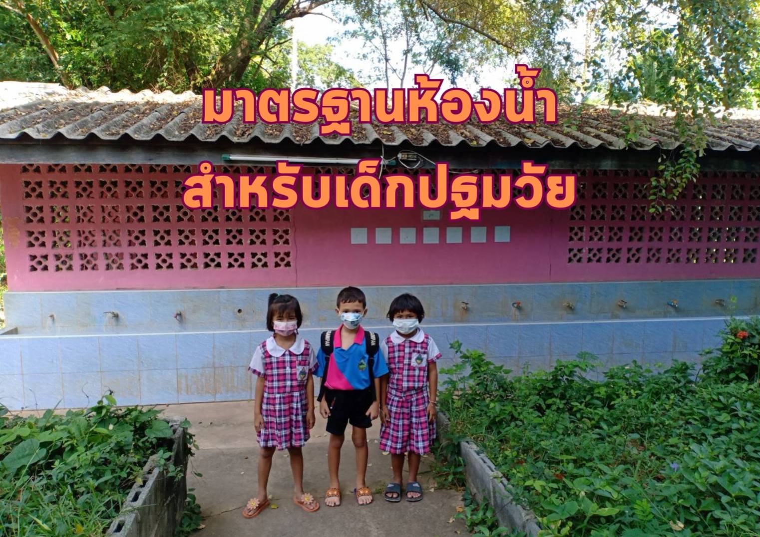 รูปภาพหน้าปก 31a9599a-71dd-4f14-aed8-f229cbb8227c