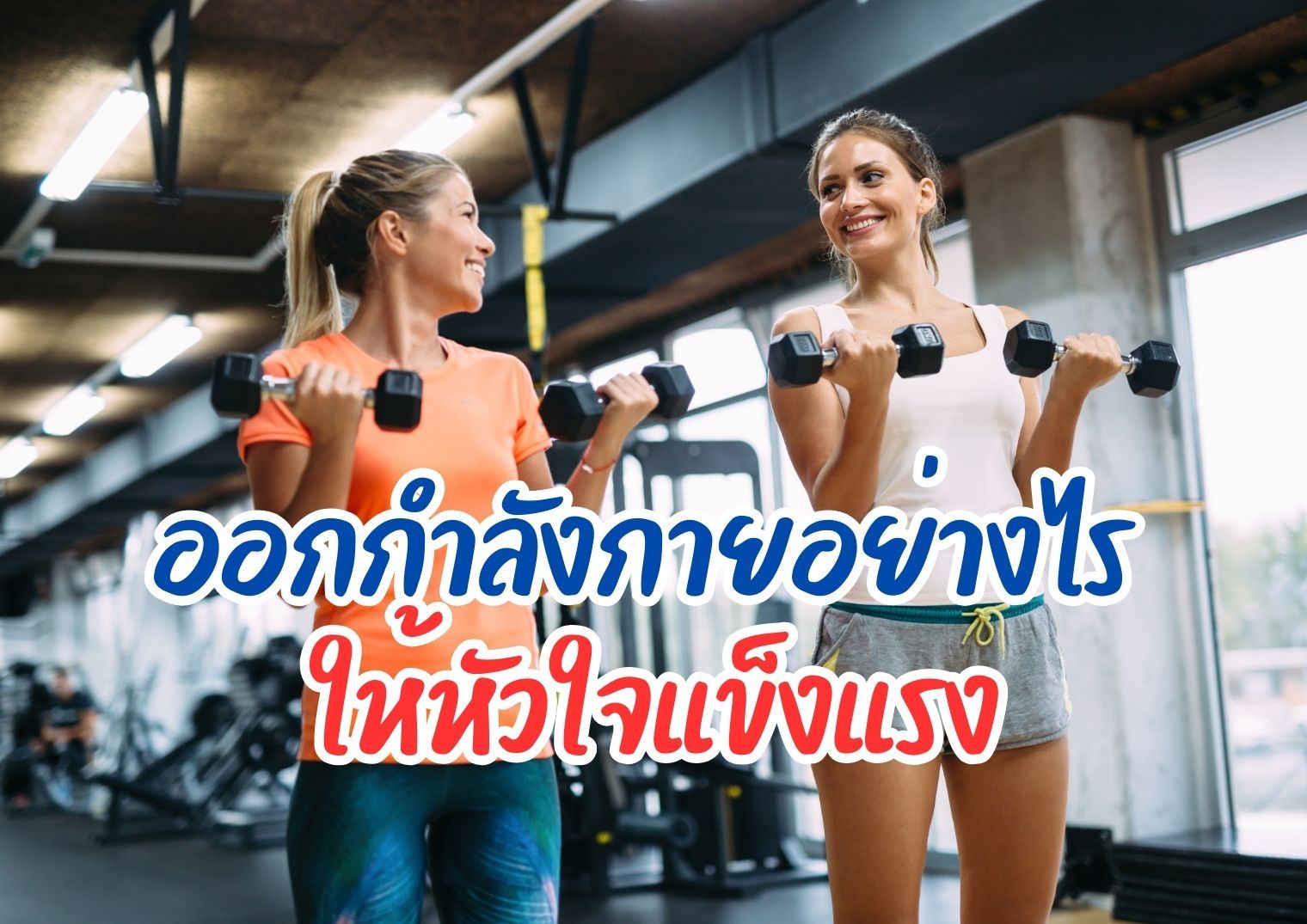 รูปภาพหน้าปก 0f92c745-fc9c-4a65-a119-340ad508c599