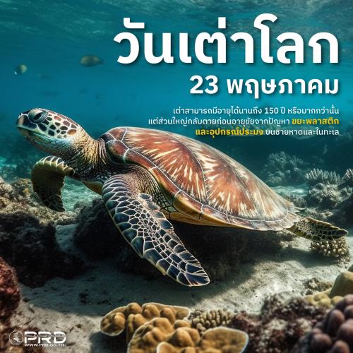 รูปภาพหน้าปก 1775c174-ee8e-4dd3-b300-dda024512156