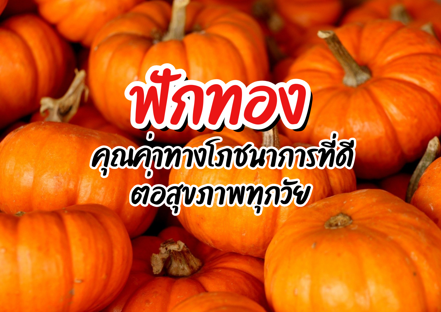 รูปภาพหน้าปก f8465c4b-8401-4c1e-b160-417893d60463