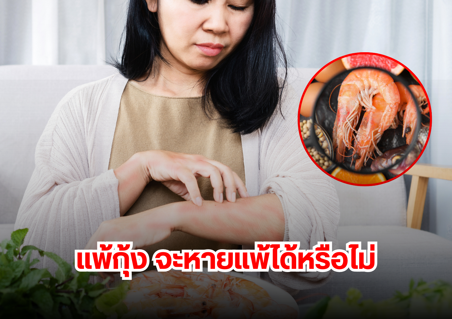รูปภาพหน้าปก 93b79148-1783-4e5f-9bf5-2bc2841f89af