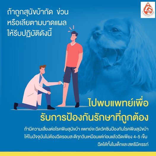 รูปภาพหน้าปก 63accea4-f013-4ae1-af30-587b3e7edae5