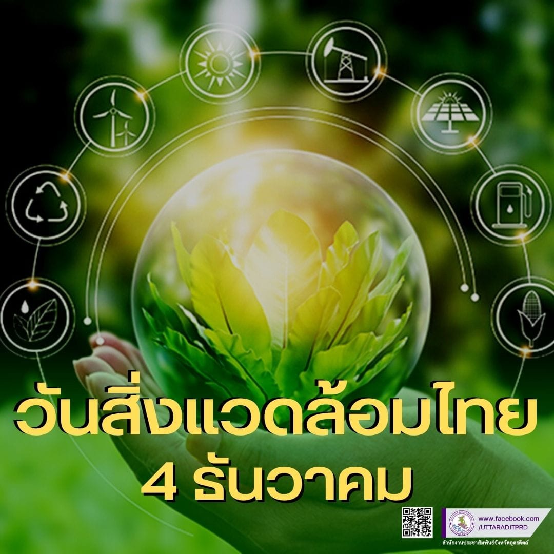 รูปภาพหน้าปก 579da621-2000-4662-8e47-6e432fffaf1f