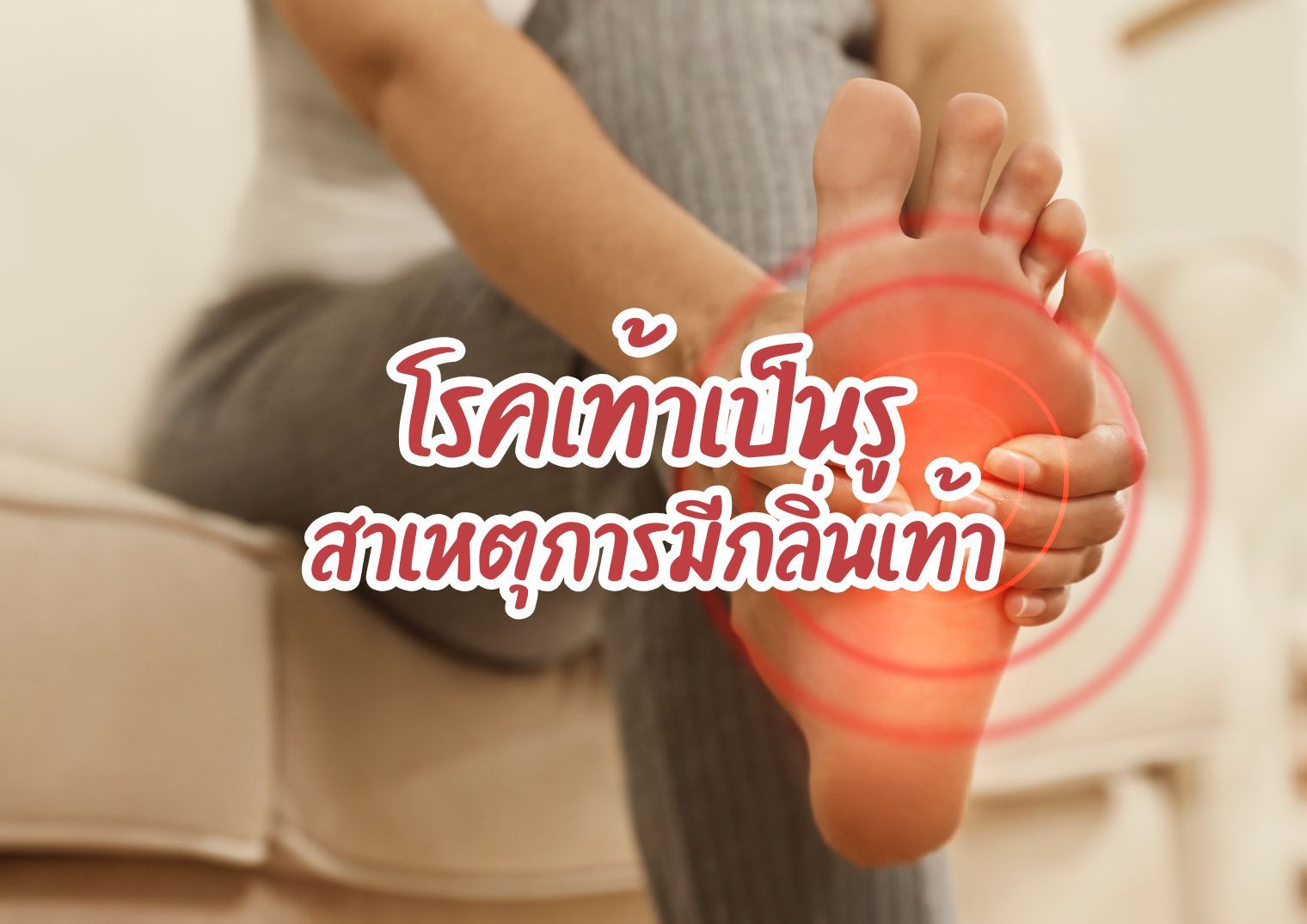 รูปภาพหน้าปก 5aab67be-c4d0-4652-bb9d-3a34bb6ad5af
