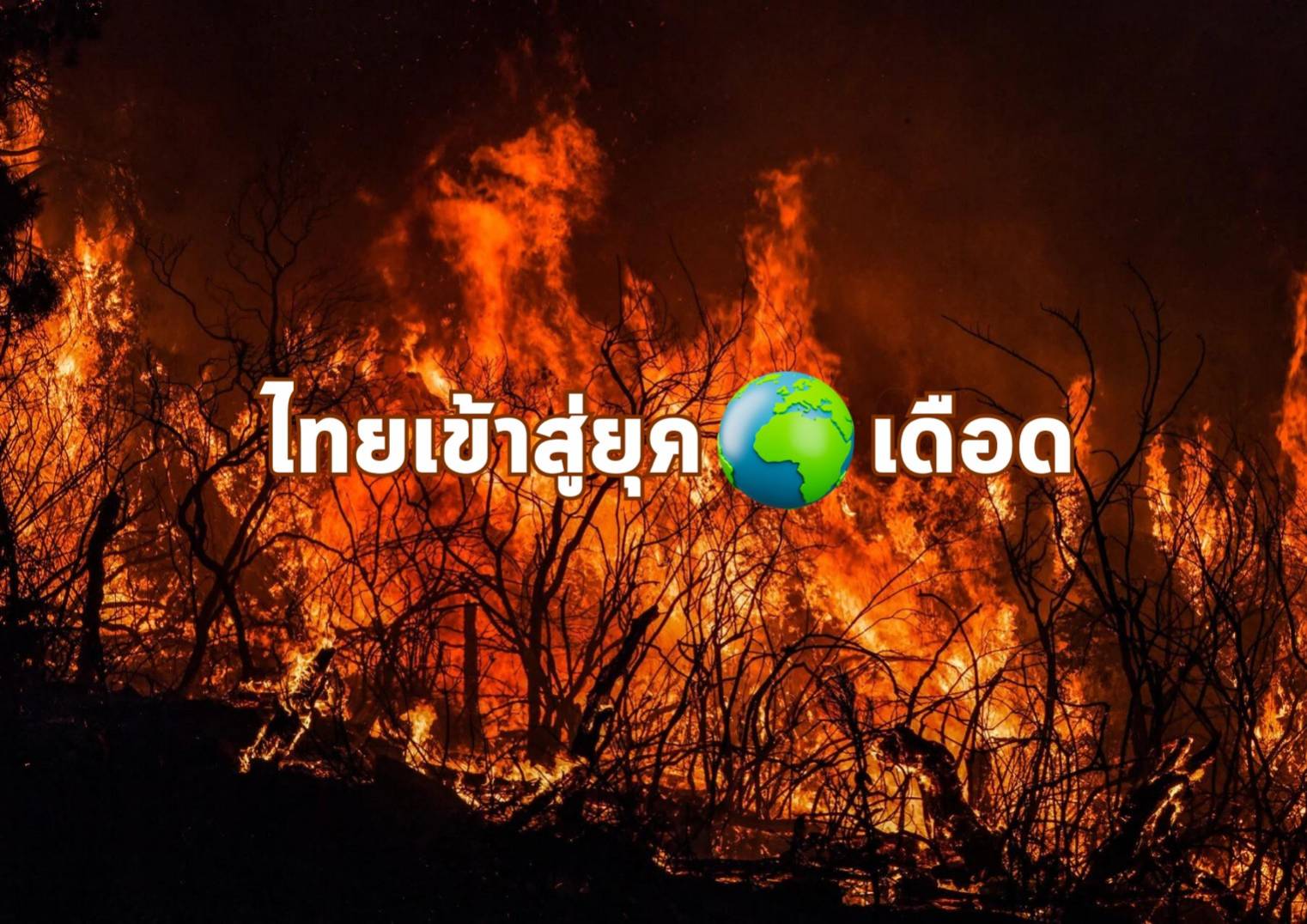 รูปภาพหน้าปก 9a1e6f3e-c138-4c6a-8c9d-d4f569b9c282