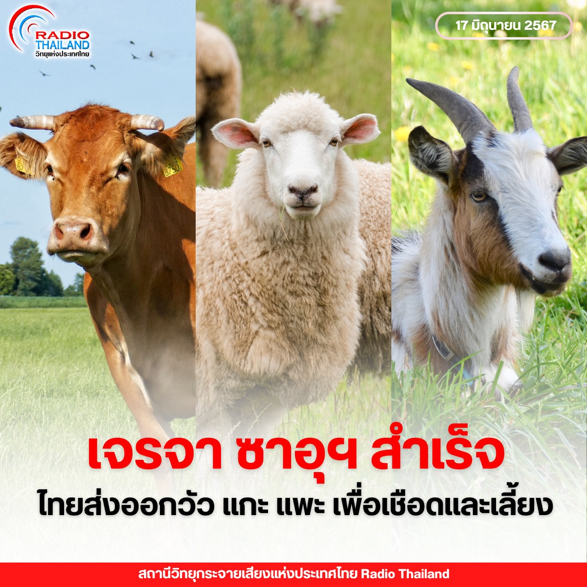 รูปภาพหน้าปก b936601e-c025-45b1-bb7b-9de472d4b7cc