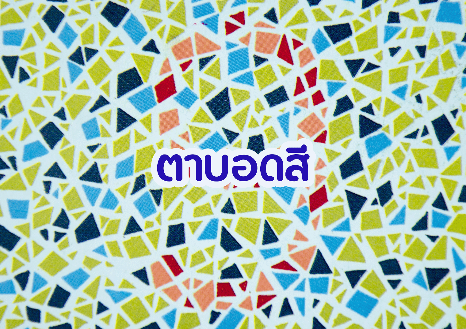รูปภาพหน้าปก 853d93df-4457-4355-94aa-b1ccc2f8711e