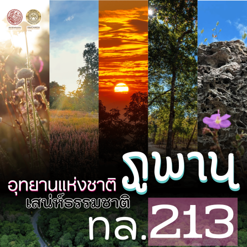 รูปภาพหน้าปก 6d5aba59-d059-42a9-9d97-5839ea89a6bf