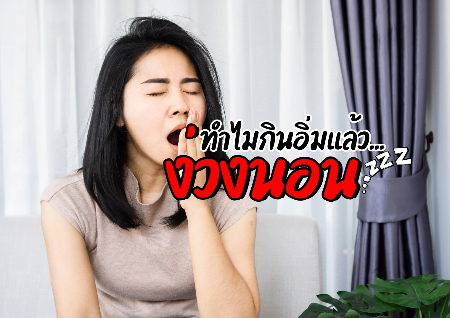 รูปภาพหน้าปก 9d881e97-622b-47d1-966d-ac258618d698