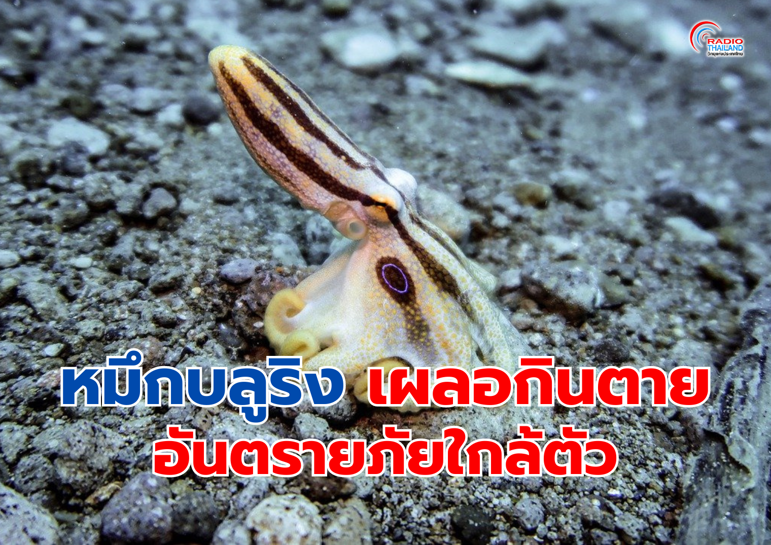 รูปภาพหน้าปก b81fb628-3af7-4bbf-b892-96f53d21aadb