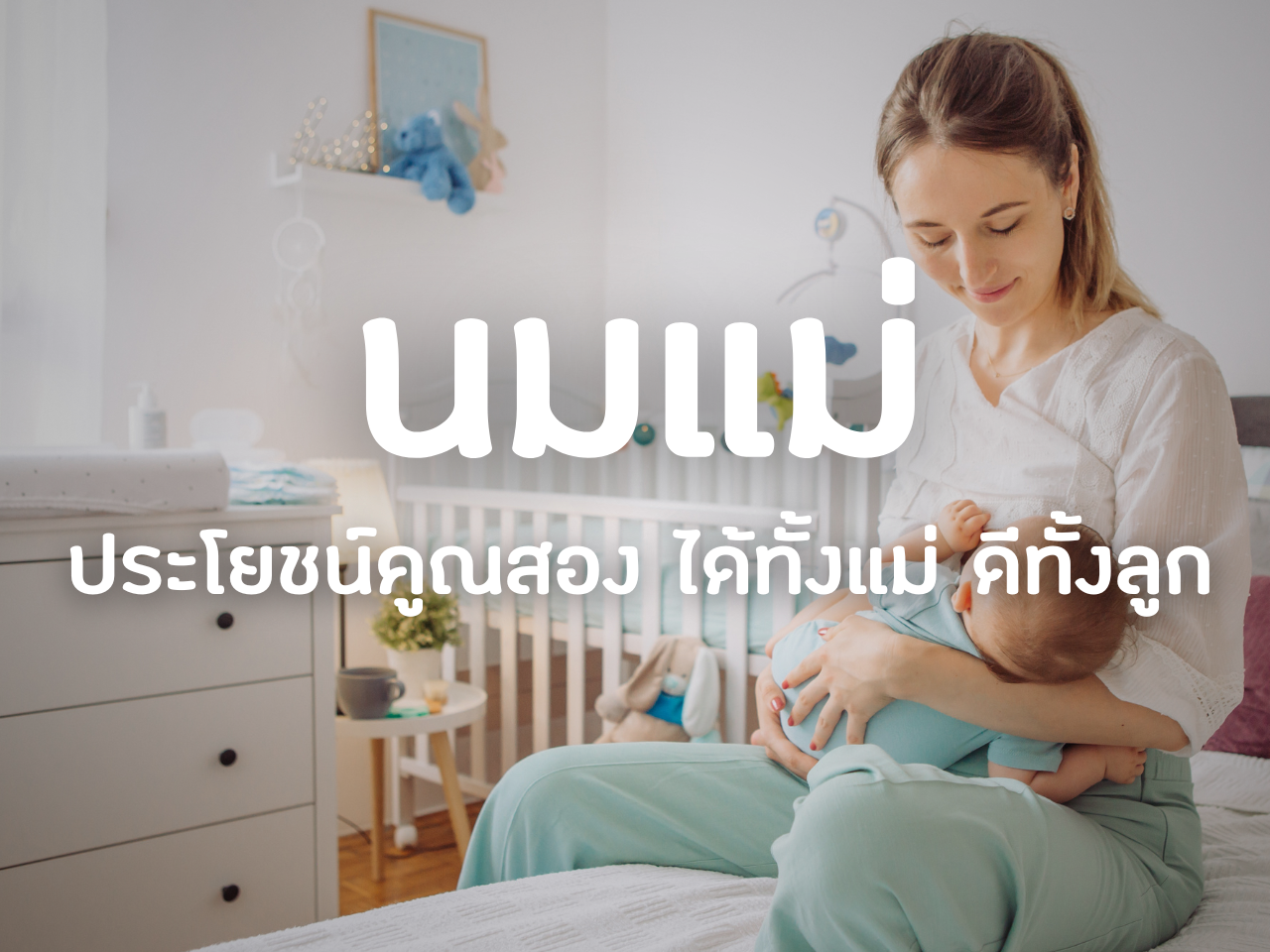 รูปภาพหน้าปก 4ea8c246-2d4d-47e2-b729-b543bd5cf870