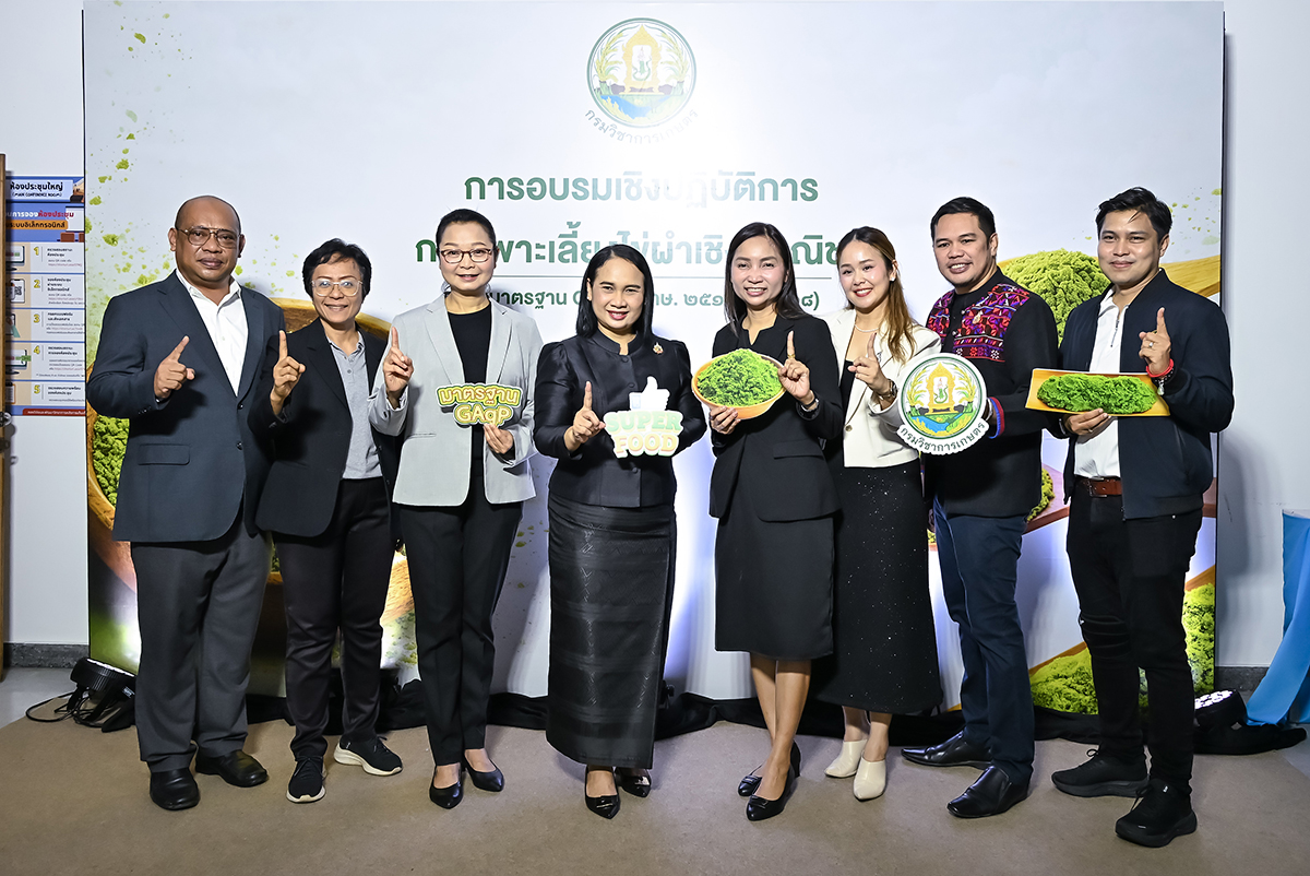 รูปภาพหน้าปก 9d9c981f-9d2f-4c81-9f77-43ab11e87529