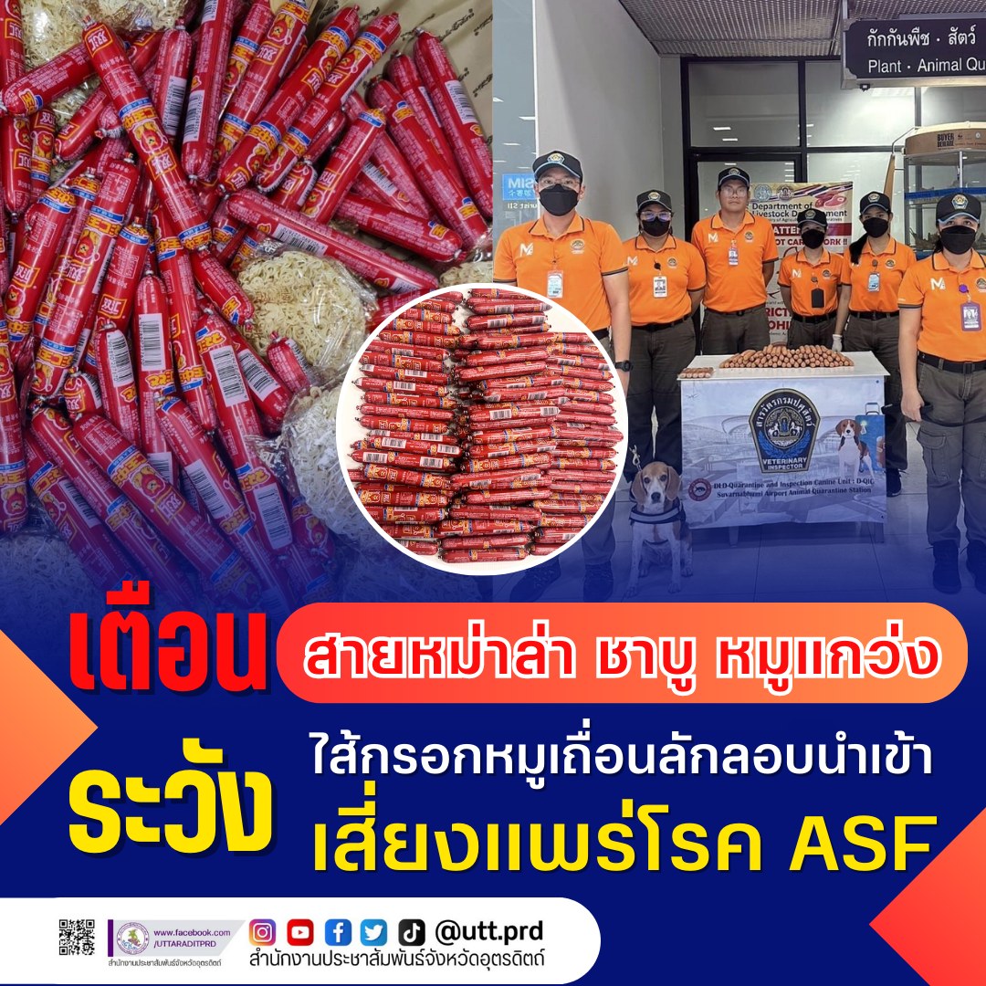 รูปภาพหน้าปก acd719b5-3c4a-4630-b70b-f5ca63b7da59