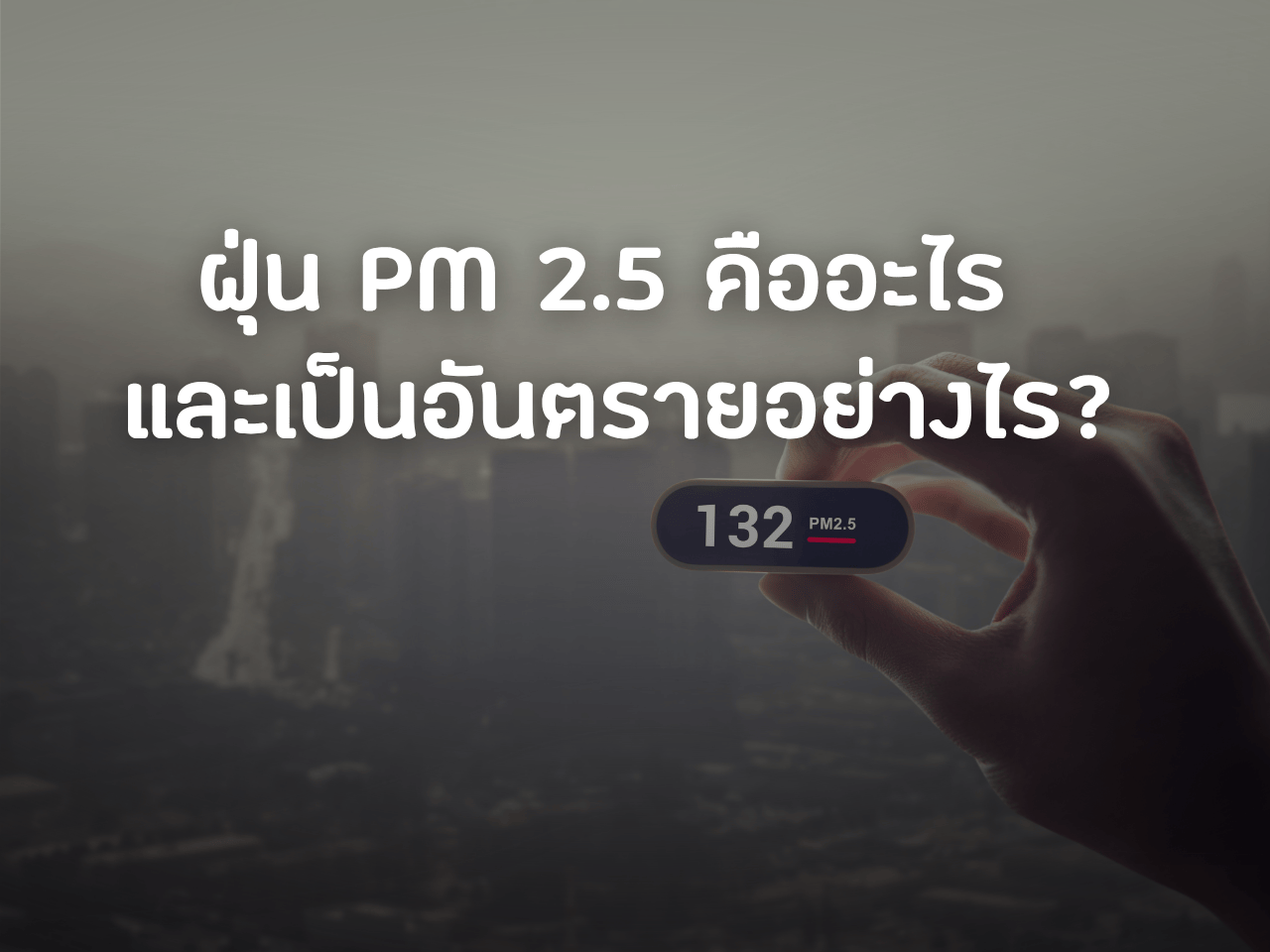รูปภาพหน้าปก 395af3d0-db0c-45ce-bc9d-9a9e89e51f09