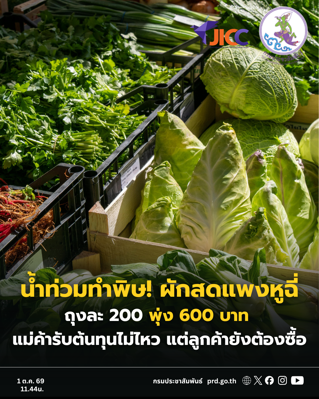 รูปภาพหน้าปก ac07f28c-71dc-4da6-96ed-4193f4a4517a