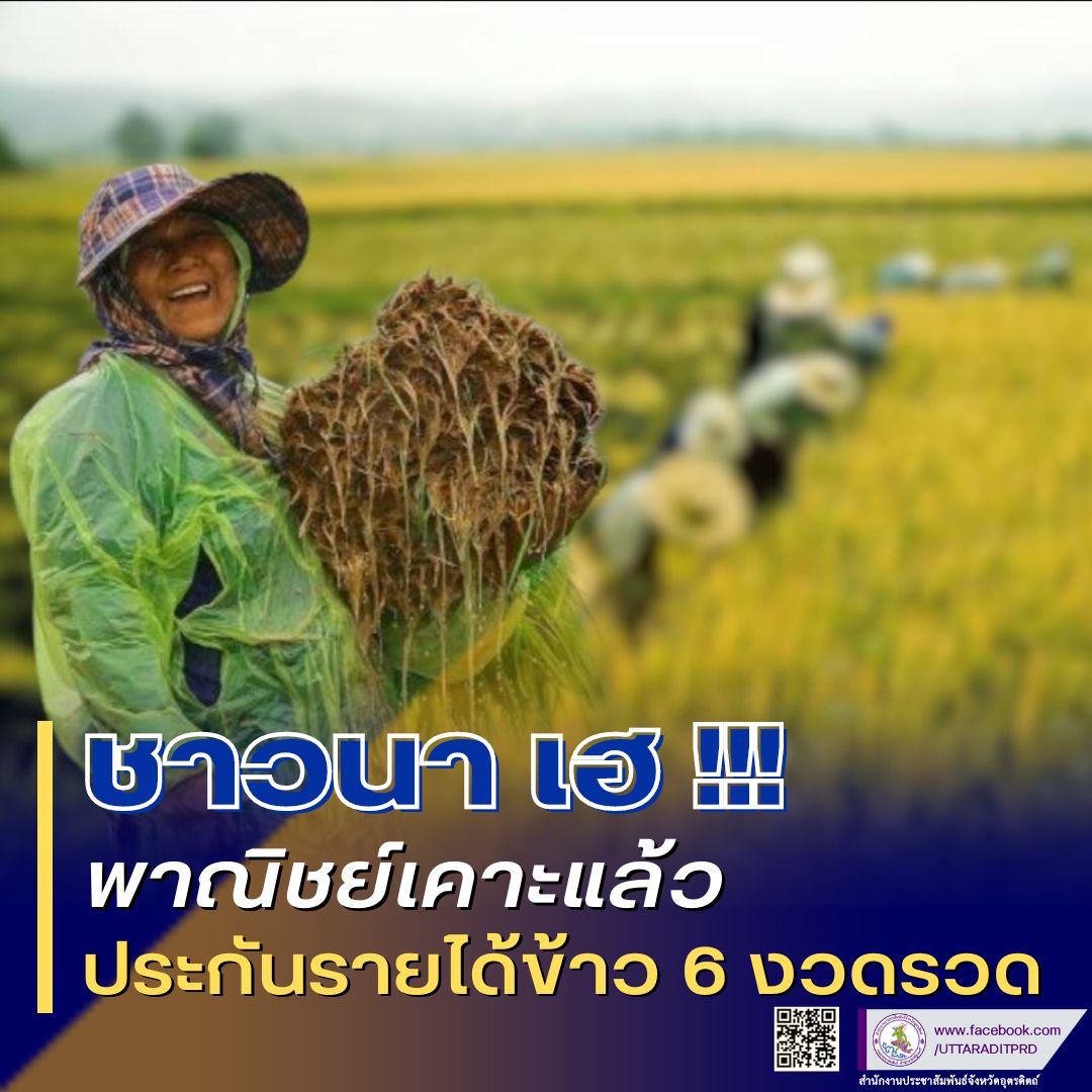 รูปภาพหน้าปก 1693b10d-c189-4dc1-8bff-db615d8005db