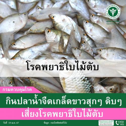 รูปภาพหน้าปก d4bbac7d-dcd5-42f0-b09c-e334c2886127