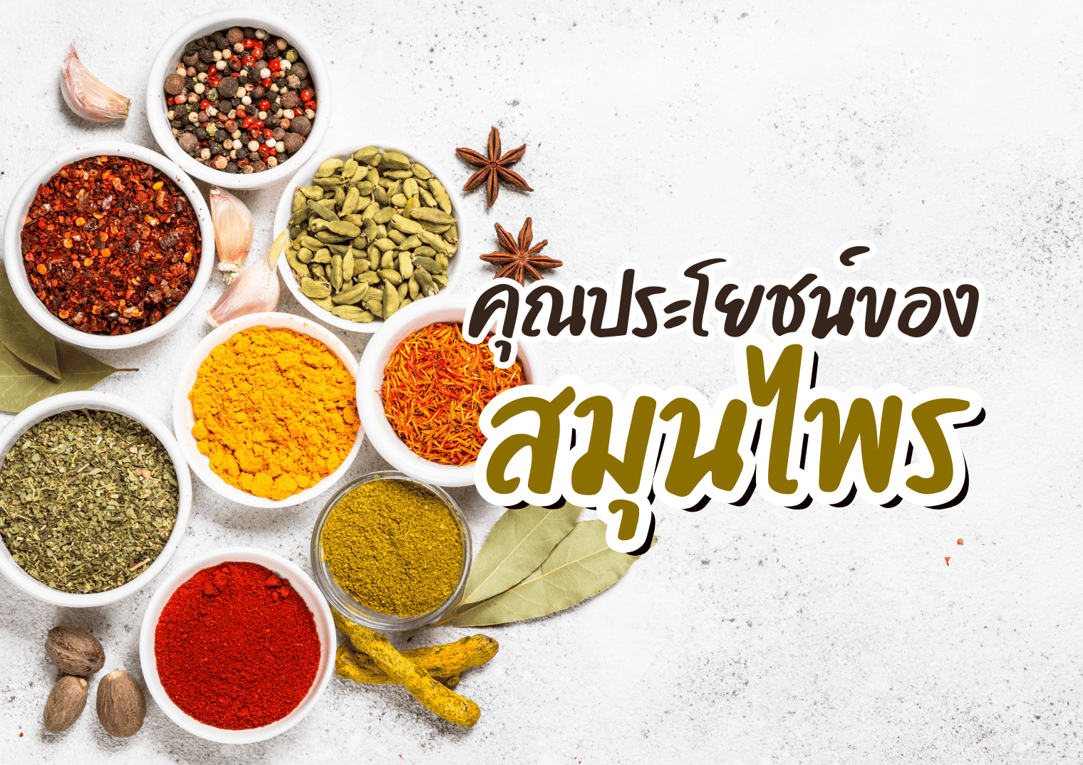 รูปภาพหน้าปก 6ecc0e11-e169-44d5-a52c-a866960fb933
