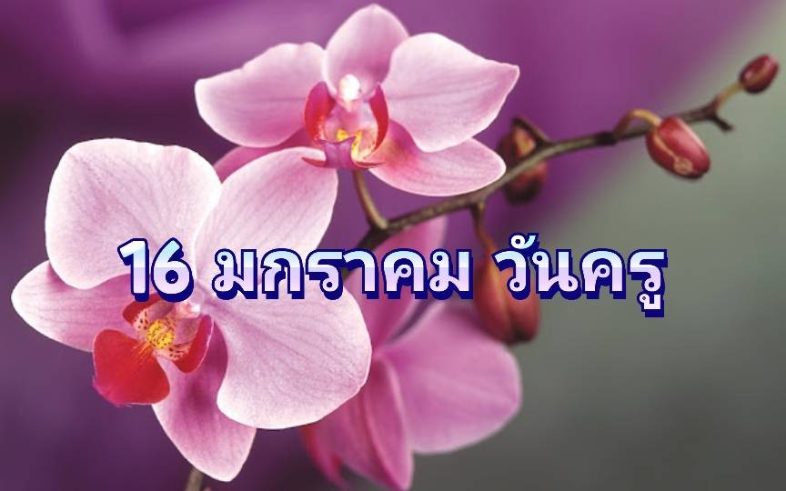 รูปภาพหน้าปก 0279ae66-1c01-4cc8-a578-f45648a8135b