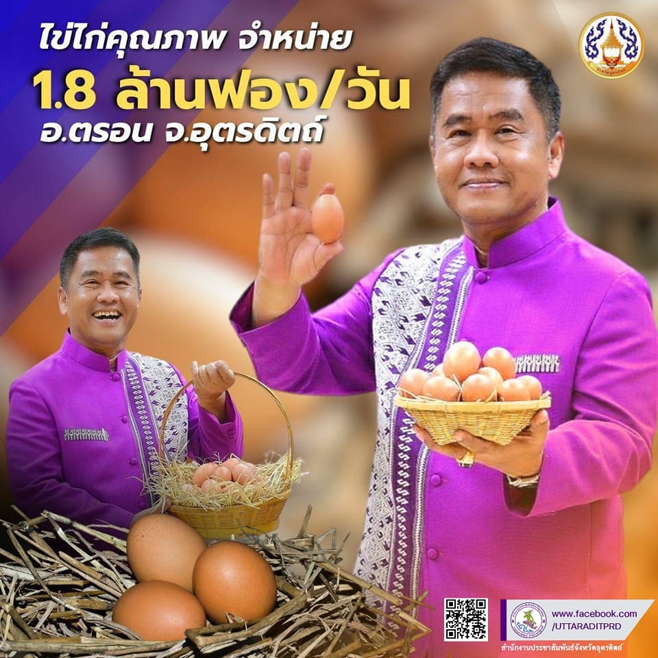 รูปภาพหน้าปก b690a991-6d01-4a42-b46a-21f6ea794dc3