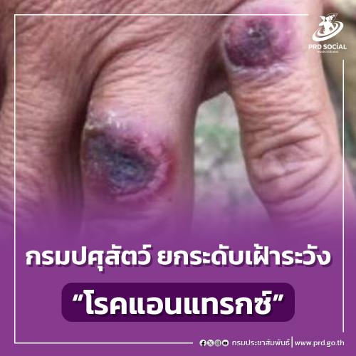 รูปภาพหน้าปก 6739e794-e80b-416c-be85-1d58baad6d86