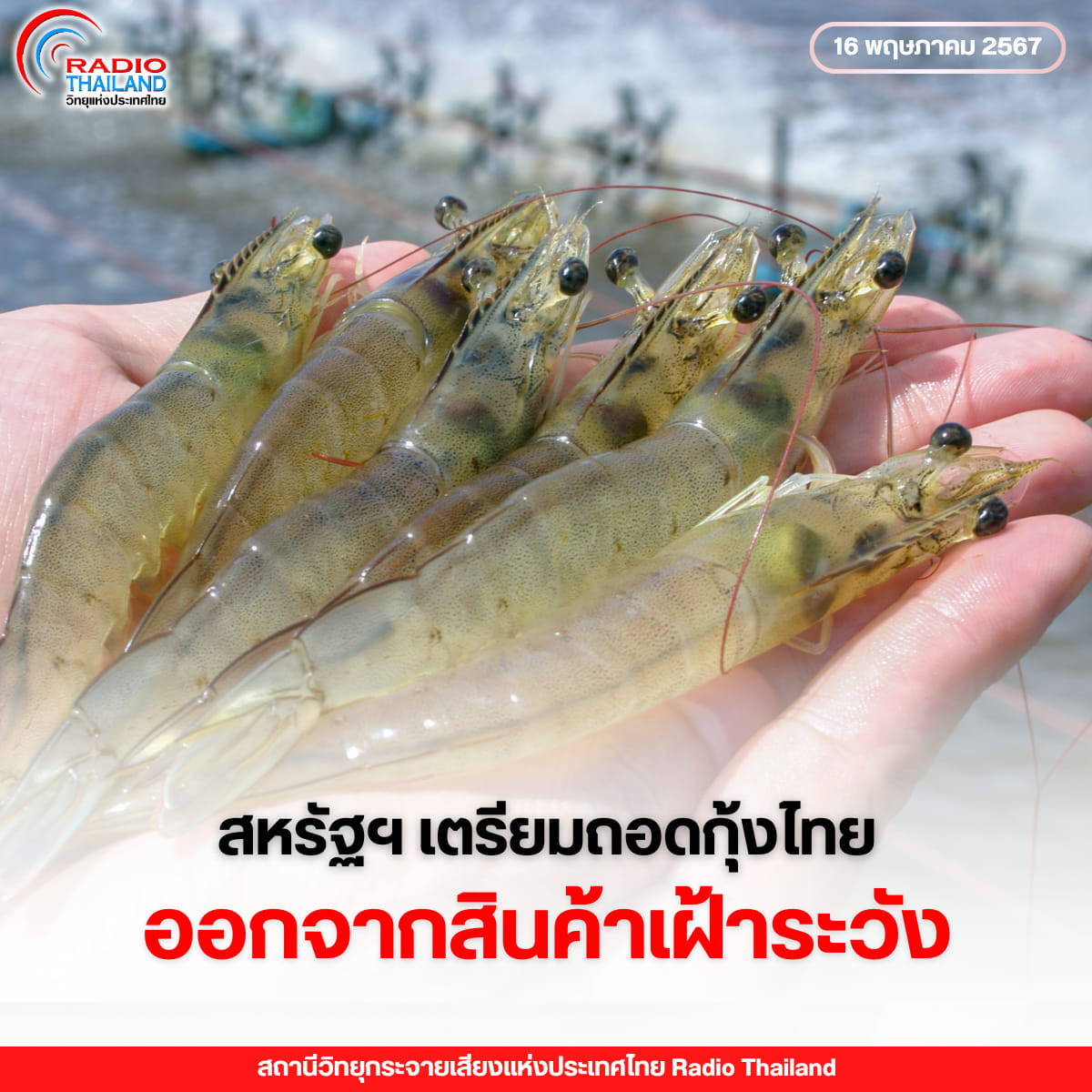 รูปภาพหน้าปก ac314d26-5a02-44da-ba80-6247fbc7832a
