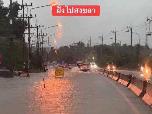 รูปภาพหน้าปก 14481bb4-dc7d-4b11-8dfc-f382f20d9873
